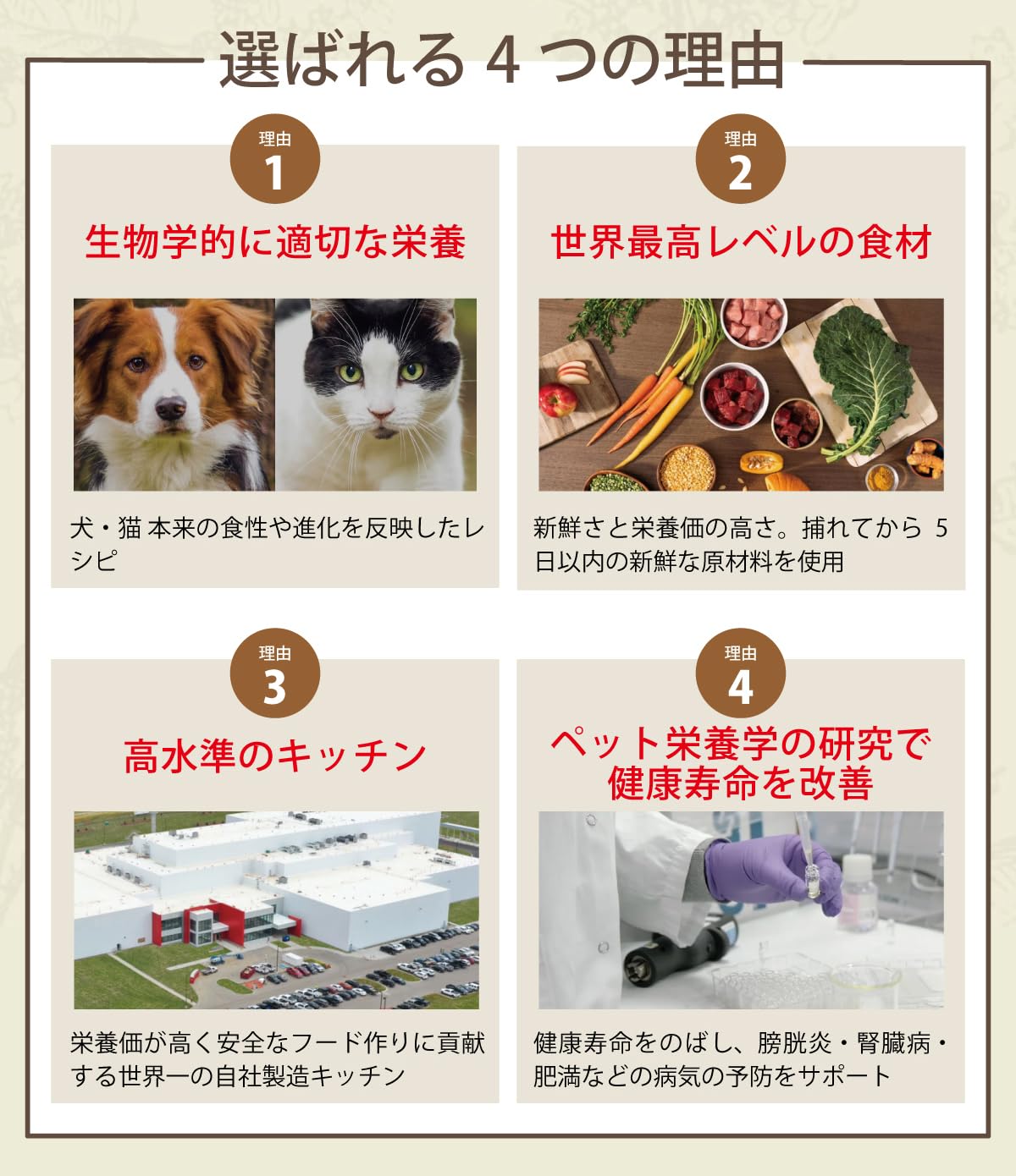 Amazon.co.jp: アカナ シニアドッグレシピ 2kg×2個 : ペット用品